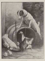 ディオゲネスの追放